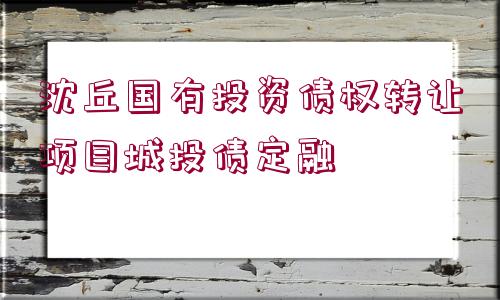 沈丘國(guó)有投資債權(quán)轉(zhuǎn)讓項(xiàng)目城投債定融