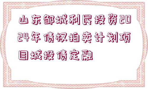 山東鄒城利民投資2024年債權(quán)拍賣計劃項目城投債定融