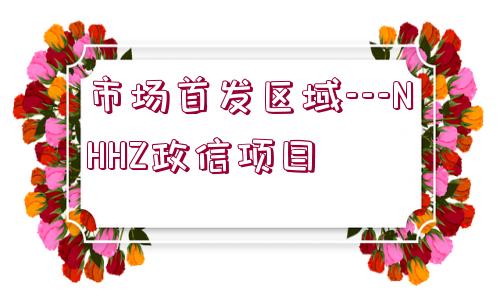 市場(chǎng)首發(fā)區(qū)域---NHHZ政信項(xiàng)目