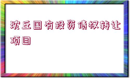 沈丘國有投資債權轉(zhuǎn)讓項目