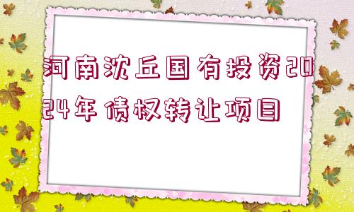 河南沈丘國(guó)有投資2024年債權(quán)轉(zhuǎn)讓項(xiàng)目