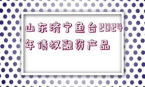 山東濟寧魚臺2024年債權融資產(chǎn)品