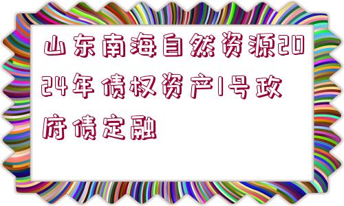 山東南海自然資源2024年債權(quán)資產(chǎn)1號(hào)政府債定融