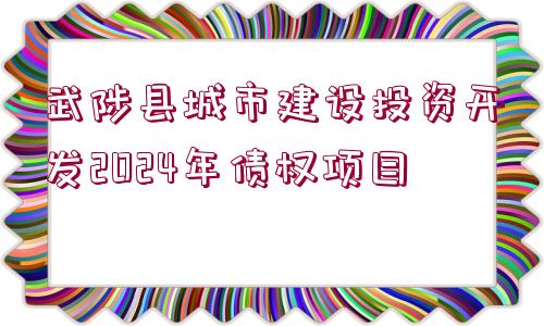 武陟縣城市建設投資開發(fā)2024年債權項目