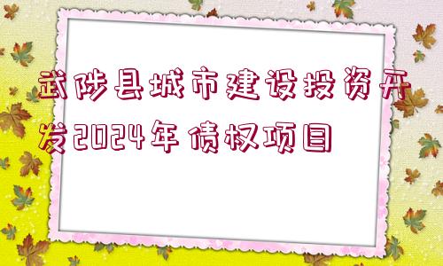 武陟縣城市建設(shè)投資開發(fā)2024年債權(quán)項(xiàng)目