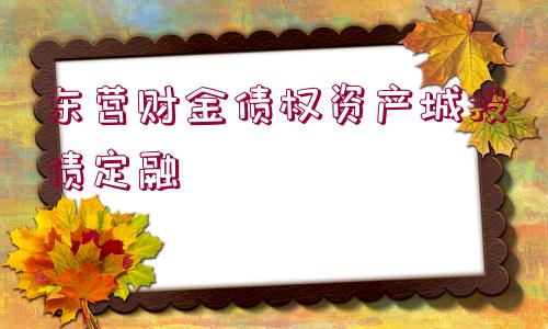 東營財金債權資產城投債定融