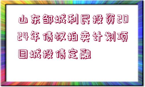 山東鄒城利民投資2024年債權(quán)拍賣計(jì)劃項(xiàng)目城投債定融