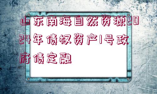 山東南海自然資源2024年債權(quán)資產(chǎn)1號政府債定融