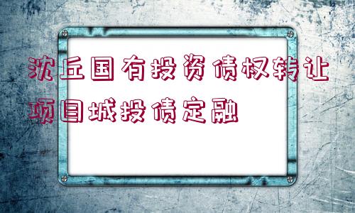 沈丘國(guó)有投資債權(quán)轉(zhuǎn)讓項(xiàng)目城投債定融