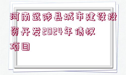 河南武陟縣城市建設(shè)投資開(kāi)發(fā)2024年債權(quán)項(xiàng)目