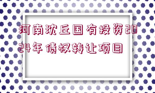 河南沈丘國(guó)有投資2024年債權(quán)轉(zhuǎn)讓項(xiàng)目