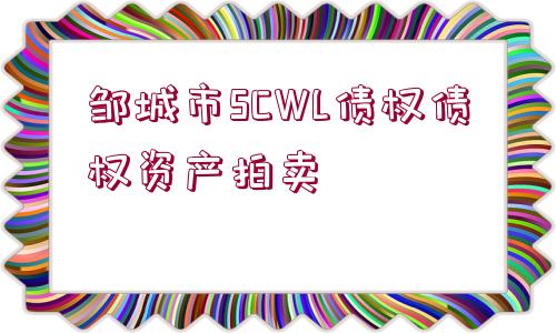 鄒城市SCWL債權債權資產拍賣