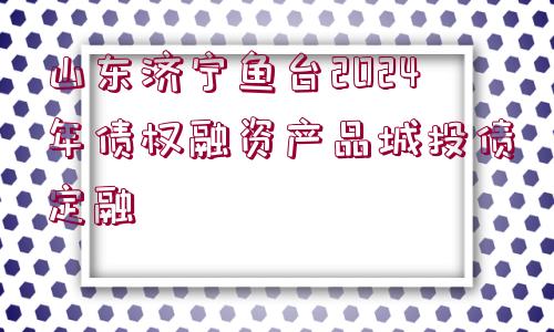 山東濟(jì)寧魚(yú)臺(tái)2024年債權(quán)融資產(chǎn)品城投債定融