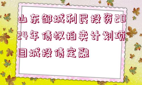 山東鄒城利民投資2024年債權(quán)拍賣計(jì)劃項(xiàng)目城投債定融