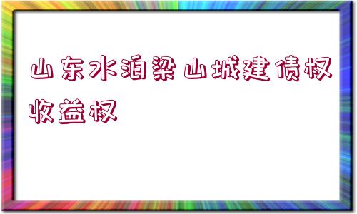 山東水泊梁山城建債權(quán)收益權(quán)