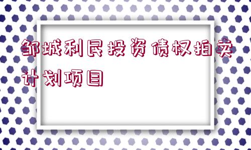 鄒城利民投資債權拍賣計劃項目