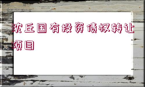 沈丘國(guó)有投資債權(quán)轉(zhuǎn)讓項(xiàng)目