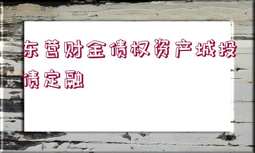 東營財金債權資產城投債定融