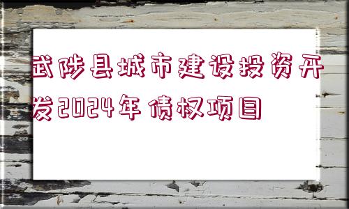 武陟縣城市建設(shè)投資開發(fā)2024年債權(quán)項目