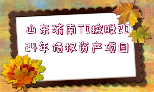 山東濟南TQ控股2024年債權資產項目