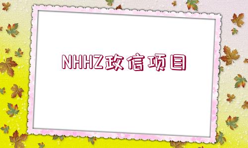 NHHZ政信項目