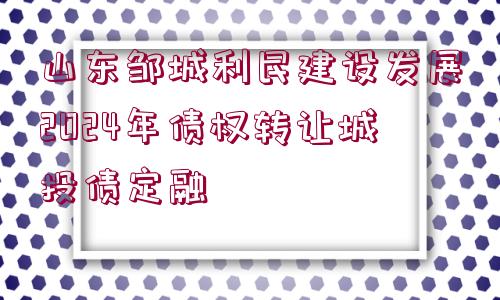 山東鄒城利民建設(shè)發(fā)展2024年債權(quán)轉(zhuǎn)讓城投債定融