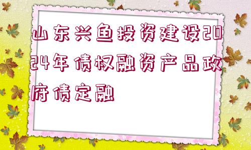 山東興魚(yú)投資建設(shè)2024年債權(quán)融資產(chǎn)品政府債定融