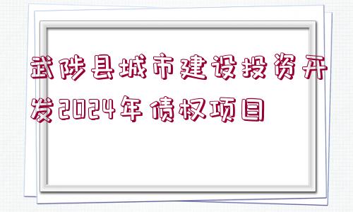 武陟縣城市建設投資開發(fā)2024年債權項目