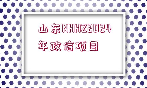 山東NHHZ2024年政信項目