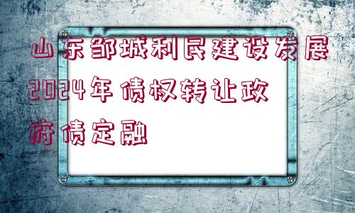 山東鄒城利民建設(shè)發(fā)展2024年債權(quán)轉(zhuǎn)讓政府債定融