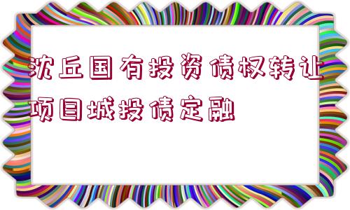 沈丘國有投資債權轉讓項目城投債定融