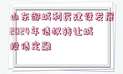 山東鄒城利民建設(shè)發(fā)展2024年債權(quán)轉(zhuǎn)讓城投債定融