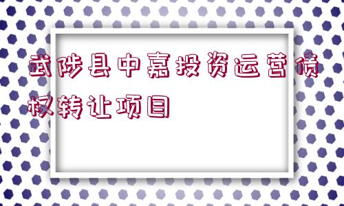 武陟縣中嘉投資運(yùn)營債權(quán)轉(zhuǎn)讓項(xiàng)目