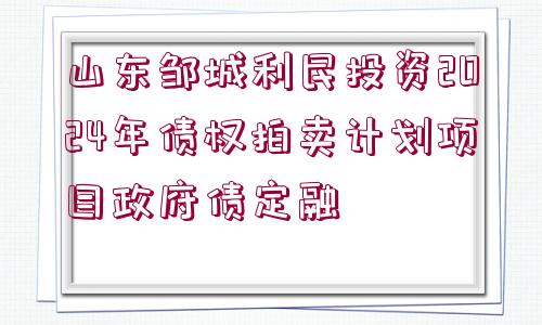 山東鄒城利民投資2024年債權拍賣計劃項目政府債定融