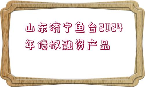 山東濟(jì)寧魚(yú)臺(tái)2024年債權(quán)融資產(chǎn)品