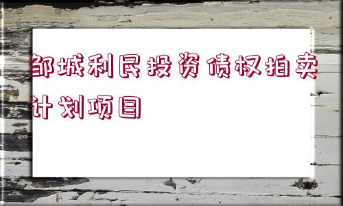 鄒城利民投資債權(quán)拍賣計劃項目