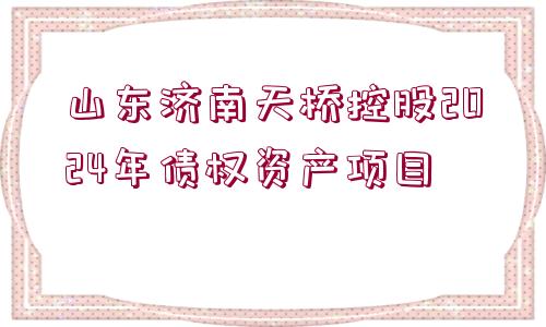 山東濟南天橋控股2024年債權資產(chǎn)項目