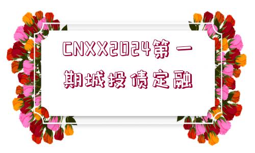 CNXX2024第一期城投債定融