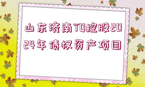 山東濟南TQ控股2024年債權(quán)資產(chǎn)項目