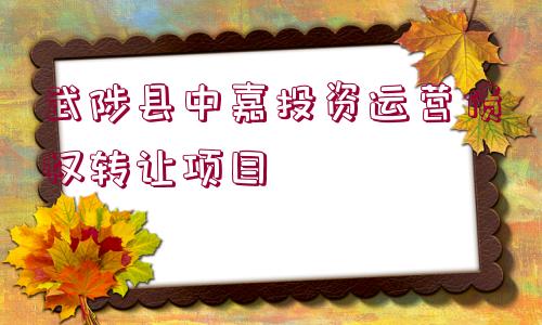 武陟縣中嘉投資運(yùn)營(yíng)債權(quán)轉(zhuǎn)讓項(xiàng)目