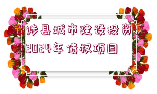 武陟縣城市建設(shè)投資開發(fā)2024年債權(quán)項(xiàng)目