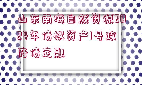 山東南海自然資源2024年債權(quán)資產(chǎn)1號(hào)政府債定融