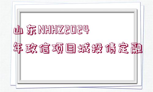 山東NHHZ2024年政信項目城投債定融