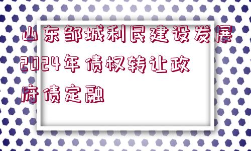 山東鄒城利民建設(shè)發(fā)展2024年債權(quán)轉(zhuǎn)讓政府債定融