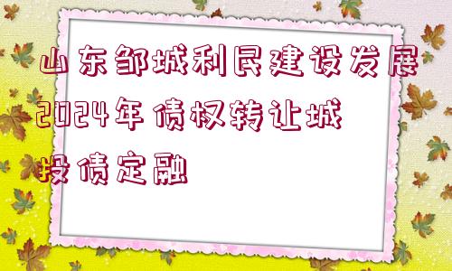 山東鄒城利民建設(shè)發(fā)展2024年債權(quán)轉(zhuǎn)讓城投債定融