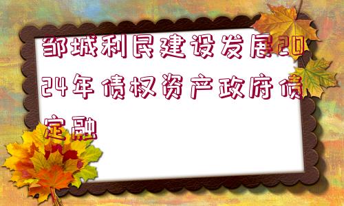 鄒城利民建設(shè)發(fā)展2024年債權(quán)資產(chǎn)政府債定融