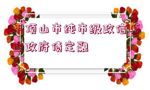 平頂山市純市級政信項目政府債定融