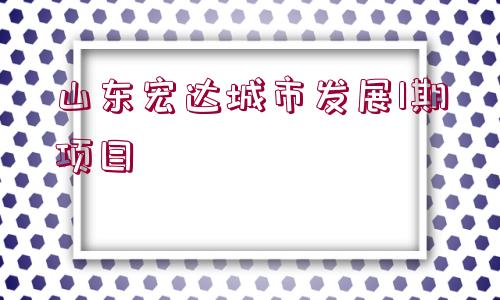 山東宏達(dá)城市發(fā)展1期項目