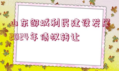 山東鄒城利民建設(shè)發(fā)展2024年債權(quán)轉(zhuǎn)讓