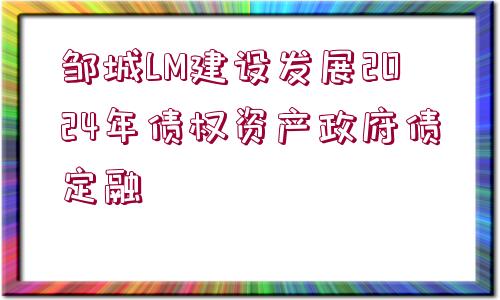 鄒城LM建設(shè)發(fā)展2024年債權(quán)資產(chǎn)政府債定融